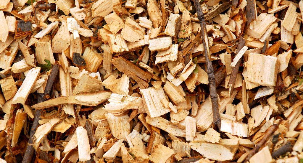 Various Wood Chip Options for Smoking Meat